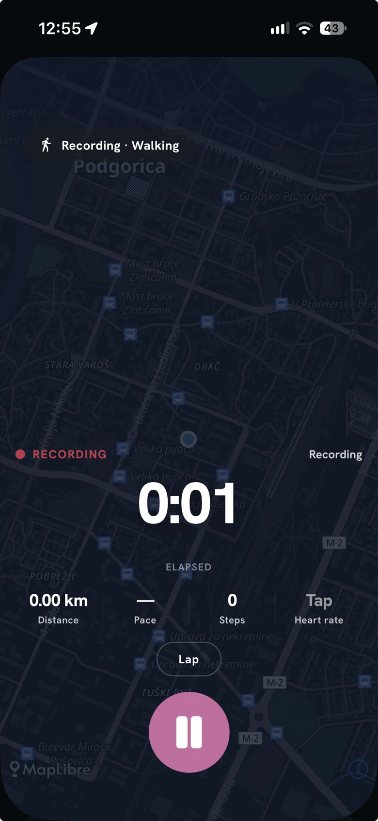 Recording a walk in Holt: a live map, the elapsed time, and distance, pace and steps underneath.